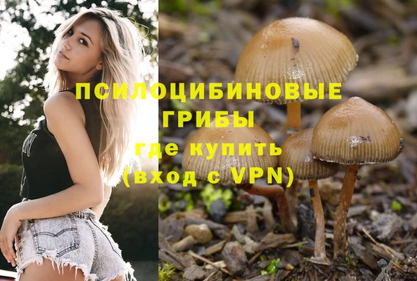 стаф Иннополис