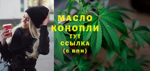 mdpv Инта