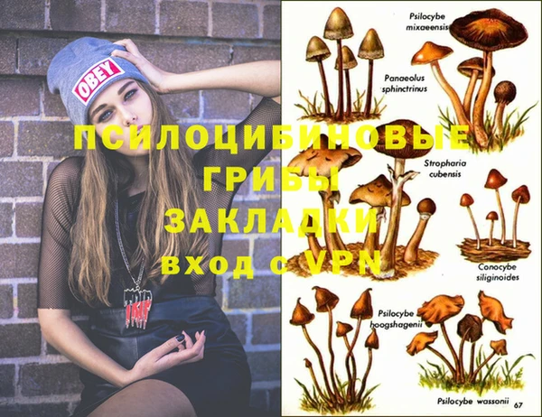 бутират Зерноград