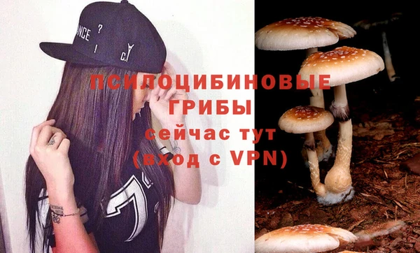 скорость mdpv Инсар