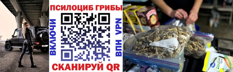 Галлюциногенные грибы GOLDEN TEACHER  Купить закладки  Ступино 
