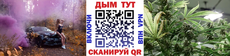 Купить закладки  Ступино  Конопля THC 21% 